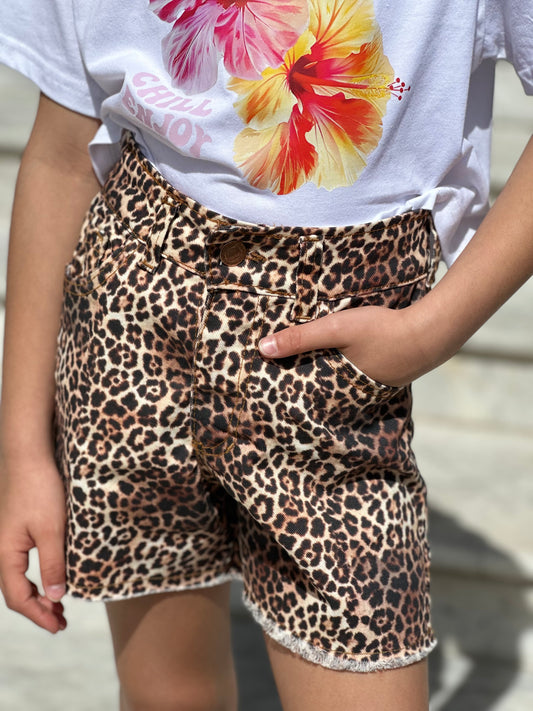 Short Print - Don Gato Kids